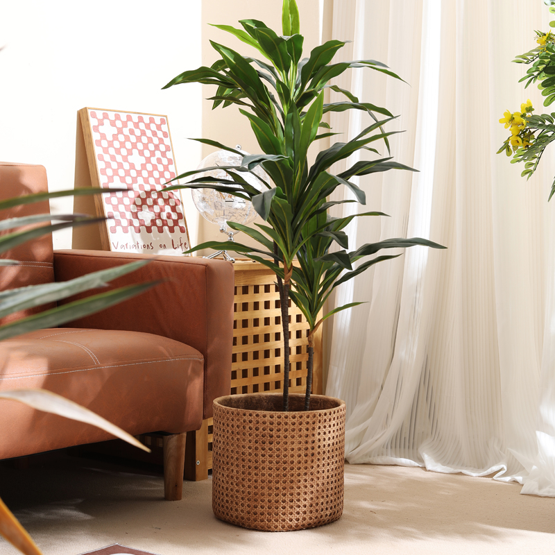 Мебель для малогабаритных квар – обзор и цена Furniture Paradise & Hardware Ghaziabad